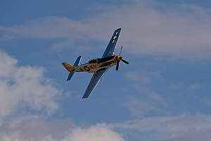 P-51 Mustang LVS00004